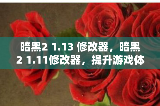 暗黑2 1.13 修改器，暗黑2 1.11修改器，提升游戏体验的合法工具
