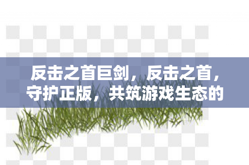反击之首巨剑，反击之首，守护正版，共筑游戏生态的坚固防线
