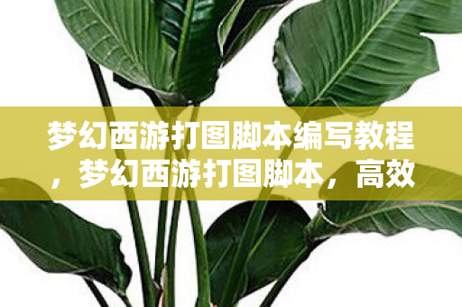 梦幻西游打图脚本编写教程，梦幻西游打图脚本，高效自动化，提升游戏体验
