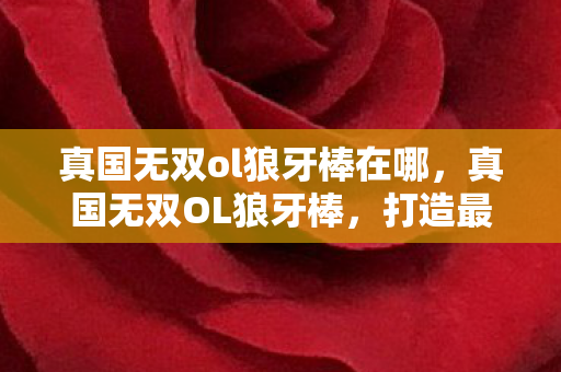 真国无双ol狼牙棒在哪，真国无双OL狼牙棒，打造最强战斗力的必备神器