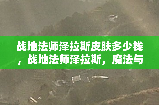 战地法师泽拉斯皮肤多少钱，战地法师泽拉斯，魔法与战略的完美融合