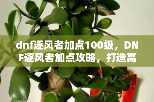 dnf逐风者加点100级，DNF逐风者加点攻略，打造高效战斗风格