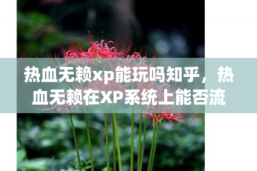 热血无赖xp能玩吗知乎，热血无赖在XP系统上能否流畅运行？