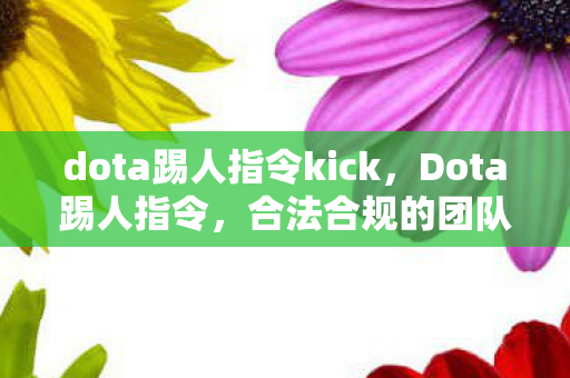 dota踢人指令kick，Dota踢人指令，合法合规的团队合作与游戏管理