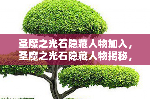 圣魔之光石隐藏人物加入，圣魔之光石隐藏人物揭秘，探索未知的游戏深度