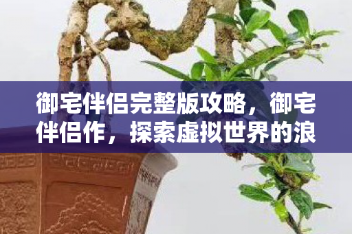 御宅伴侣完整版攻略，御宅伴侣作，探索虚拟世界的浪漫之旅