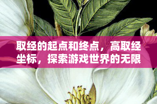 取经的起点和终点，高取经坐标，探索游戏世界的无限可能