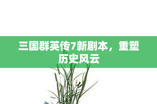 三国群英传7新剧本,重塑历史风云 三国群英传7新剧本,重塑历史风云