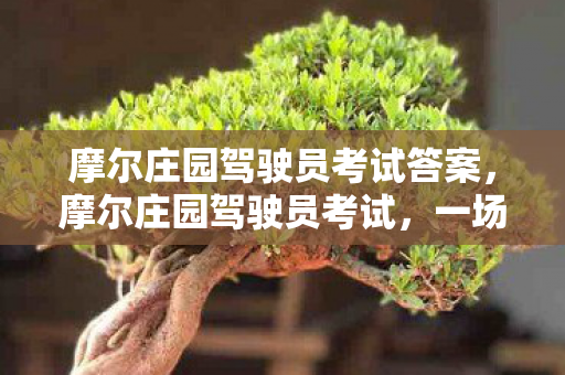 摩尔庄园驾驶员考试答案，摩尔庄园驾驶员考试，一场虚拟世界的驾驶盛宴