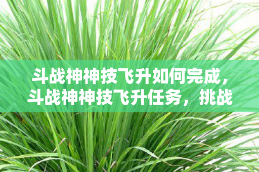 斗战神神技飞升如何完成，斗战神神技飞升任务，挑战与机遇并存的冒险之旅
