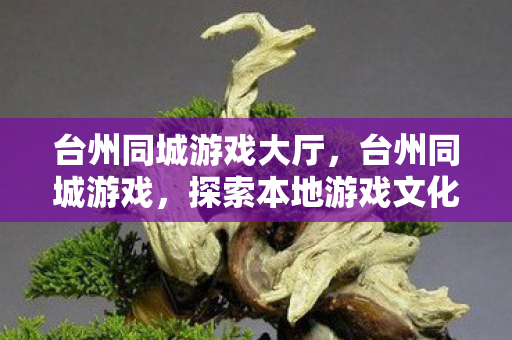 台州同城游戏大厅，台州同城游戏，探索本地游戏文化的魅力