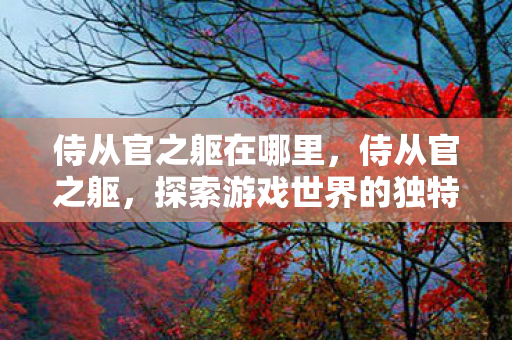 侍从官之躯在哪里，侍从官之躯，探索游戏世界的独特魅力
