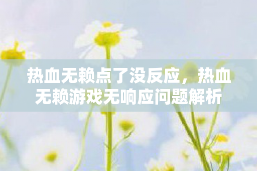热血无赖点了没反应，热血无赖游戏无响应问题解析