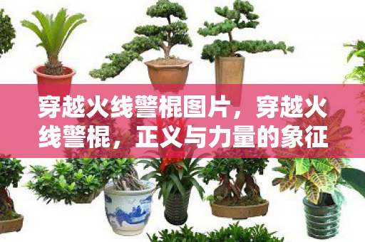 穿越火线警棍图片，穿越火线警棍，正义与力量的象征