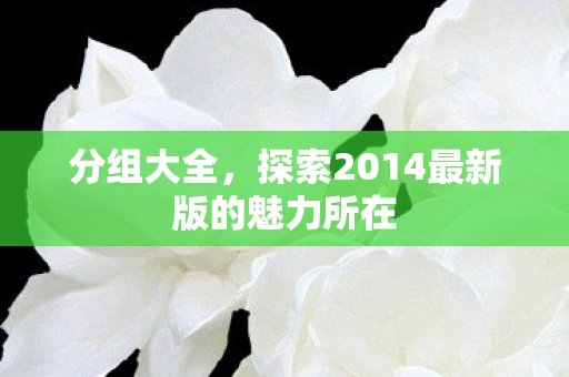 分组大全,探索2014最新版的魅力所在 分组大全,探索2014最新版的魅力所在
