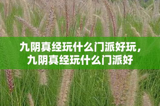 九阴真经玩什么门派好玩，九阴真经玩什么门派好