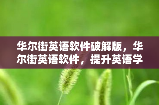 华尔街英语软件破解版，华尔街英语软件，提升英语学习效率的高效工具