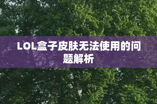 LOL盒子皮肤无法使用的问题解析