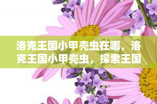 洛克王国小甲壳虫在哪，洛克王国小甲壳虫，探索王国中的奇妙生物
