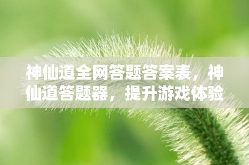 神仙道全网答题答案表，神仙道答题器，提升游戏体验的得力助手
