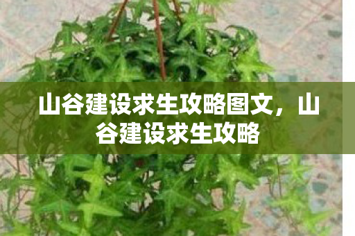 山谷建设求生攻略图文，山谷建设求生攻略