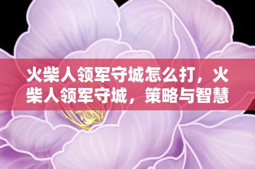 火柴人领军守城怎么打，火柴人领军守城，策略与智慧的碰撞