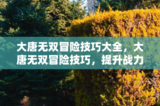 大唐无双冒险技巧大全，大唐无双冒险技巧，提升战力与探索秘境的实用指南