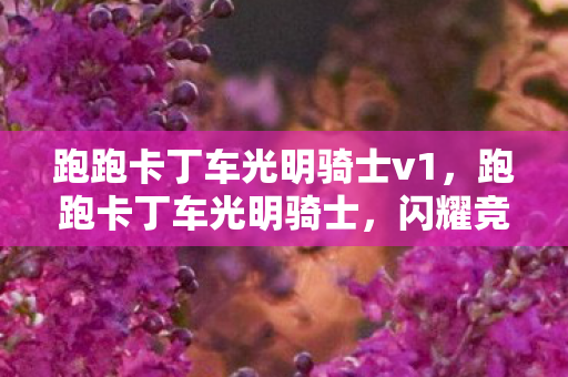 跑跑卡丁车光明骑士v1，跑跑卡丁车光明骑士，闪耀竞速之旅的守护者