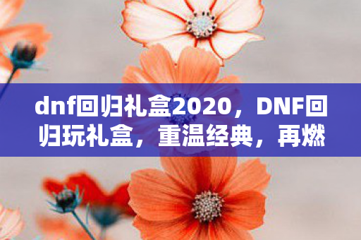 dnf回归礼盒2020，DNF回归玩礼盒，重温经典，再燃激情