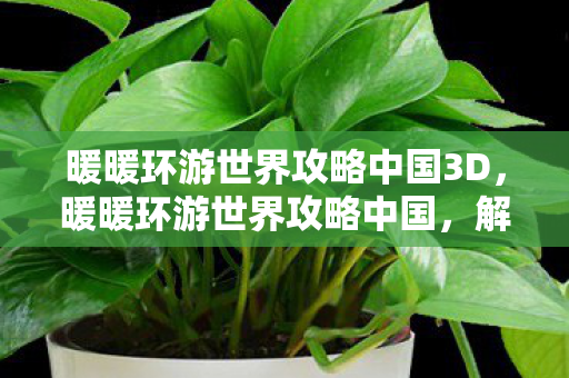 暖暖环游世界攻略中国3D，暖暖环游世界攻略中国，解锁中国风时尚之旅