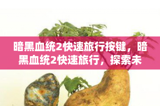 暗黑血统2快速旅行按键，暗黑血统2快速旅行，探索未知世界的便捷之道