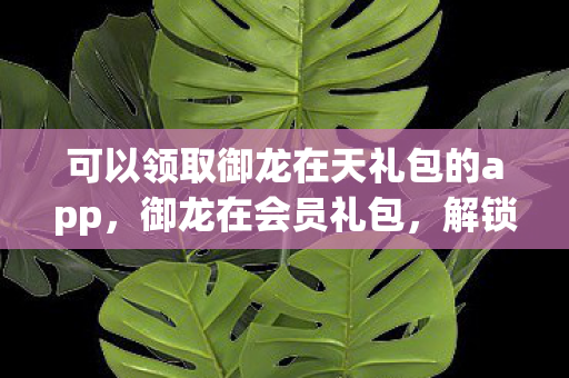 可以领取御龙在天礼包的app，御龙在会员礼包，解锁游戏新世界的钥匙