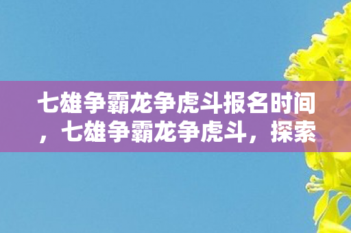 七雄争霸龙争虎斗报名时间，七雄争霸龙争虎斗，探索正版游戏世界的魅力