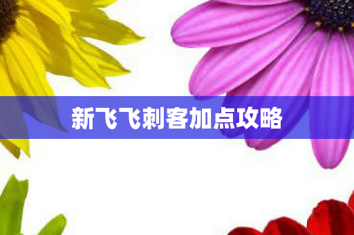 新飞飞刺客加点攻略