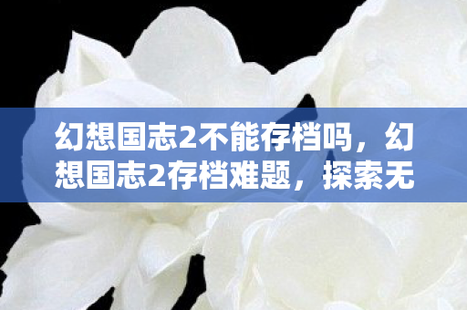幻想国志2不能存档吗，幻想国志2存档难题，探索无法存档的深层原因与解决方案