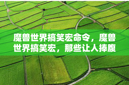 魔兽世界搞笑宏命令，魔兽世界搞笑宏，那些让人捧腹的小助手