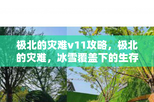 极北的灾难v11攻略，极北的灾难，冰雪覆盖下的生存挑战