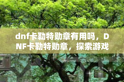 dnf卡勒特勋章有用吗，DNF卡勒特勋章，探索游戏中的荣耀象征