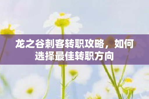 龙之谷刺客转职攻略，如何选择最佳转职方向