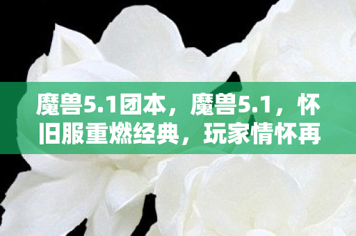 魔兽5.1团本，魔兽5.1，怀旧服重燃经典，玩家情怀再续新篇