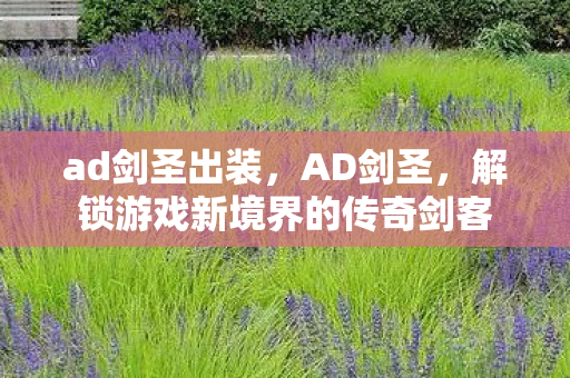 ad剑圣出装，AD剑圣，解锁游戏新境界的传奇剑客