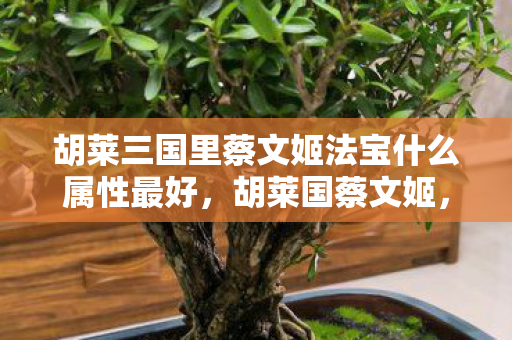 胡莱三国里蔡文姬法宝什么属性最好，胡莱国蔡文姬，探寻历史背后的才女传奇