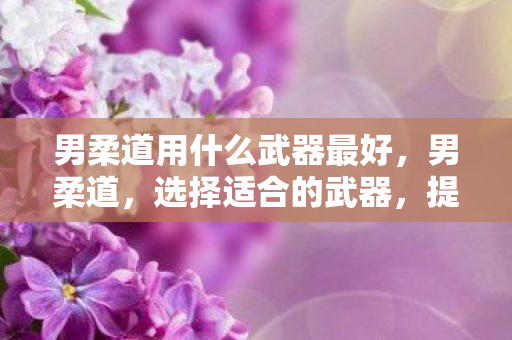 男柔道用什么武器最好，男柔道，选择适合的武器，提升战斗效率