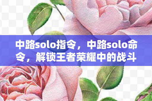 中路solo指令，中路solo命令，解锁王者荣耀中的战斗艺术