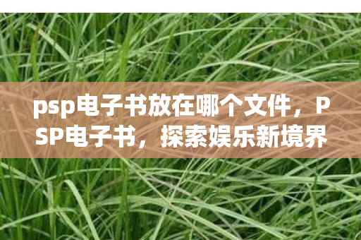 psp电子书放在哪个文件，PSP电子书，探索娱乐新境界