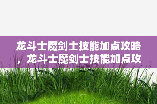 龙斗士魔剑士技能加点攻略，龙斗士魔剑士技能加点攻略