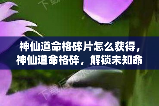 神仙道命格碎片怎么获得，神仙道命格碎，解锁未知命运的神秘碎片