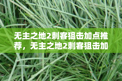 无主之地2刺客狙击加点推荐，无主之地2刺客狙击加点策略