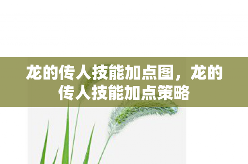 龙的传人技能加点图，龙的传人技能加点策略