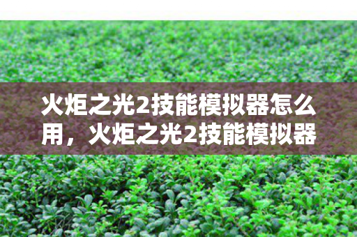 火炬之光2技能模拟器怎么用，火炬之光2技能模拟器，提升游戏技能，打造个性化角色